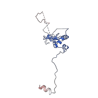 35279_8i9p_CR_v1-1
Cryo-EM structure of a Chaetomium thermophilum pre-60S ribosomal subunit - State Mak16