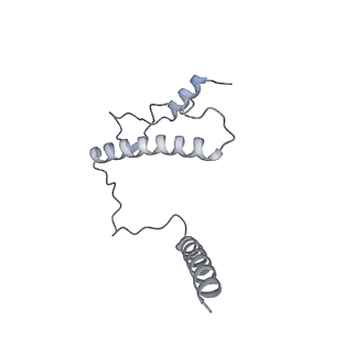 35279_8i9p_CU_v1-1
Cryo-EM structure of a Chaetomium thermophilum pre-60S ribosomal subunit - State Mak16