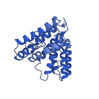 35279_8i9p_Cc_v1-1
Cryo-EM structure of a Chaetomium thermophilum pre-60S ribosomal subunit - State Mak16