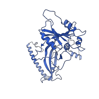 35279_8i9p_Cd_v1-1
Cryo-EM structure of a Chaetomium thermophilum pre-60S ribosomal subunit - State Mak16