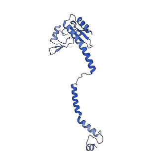 35279_8i9p_Ce_v1-1
Cryo-EM structure of a Chaetomium thermophilum pre-60S ribosomal subunit - State Mak16