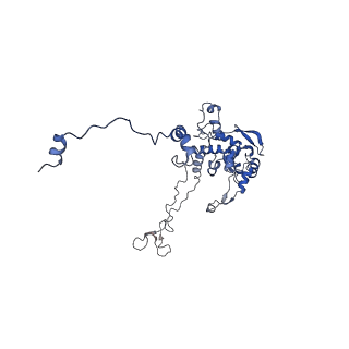 35279_8i9p_LC_v1-1
Cryo-EM structure of a Chaetomium thermophilum pre-60S ribosomal subunit - State Mak16