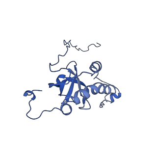 35279_8i9p_LE_v1-1
Cryo-EM structure of a Chaetomium thermophilum pre-60S ribosomal subunit - State Mak16