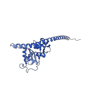 35279_8i9p_LF_v1-1
Cryo-EM structure of a Chaetomium thermophilum pre-60S ribosomal subunit - State Mak16