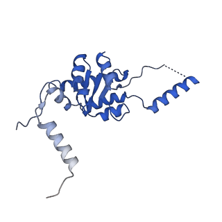 35279_8i9p_LG_v1-1
Cryo-EM structure of a Chaetomium thermophilum pre-60S ribosomal subunit - State Mak16