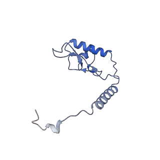 35279_8i9p_LL_v1-1
Cryo-EM structure of a Chaetomium thermophilum pre-60S ribosomal subunit - State Mak16