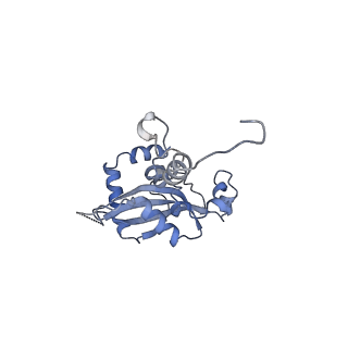 35279_8i9p_LN_v1-1
Cryo-EM structure of a Chaetomium thermophilum pre-60S ribosomal subunit - State Mak16