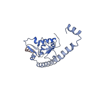 35279_8i9p_LO_v1-1
Cryo-EM structure of a Chaetomium thermophilum pre-60S ribosomal subunit - State Mak16