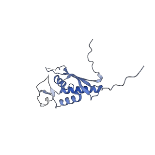 35279_8i9p_LP_v1-1
Cryo-EM structure of a Chaetomium thermophilum pre-60S ribosomal subunit - State Mak16