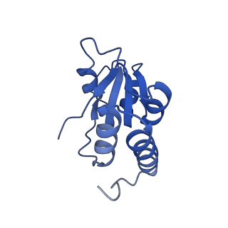 35279_8i9p_LQ_v1-1
Cryo-EM structure of a Chaetomium thermophilum pre-60S ribosomal subunit - State Mak16
