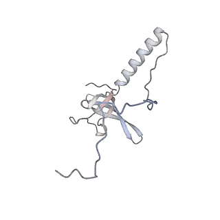 35279_8i9p_LT_v1-1
Cryo-EM structure of a Chaetomium thermophilum pre-60S ribosomal subunit - State Mak16