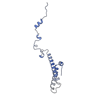 35279_8i9p_Lh_v1-1
Cryo-EM structure of a Chaetomium thermophilum pre-60S ribosomal subunit - State Mak16