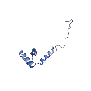 35279_8i9p_Li_v1-1
Cryo-EM structure of a Chaetomium thermophilum pre-60S ribosomal subunit - State Mak16