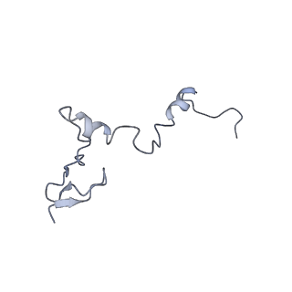 35279_8i9p_Lj_v1-1
Cryo-EM structure of a Chaetomium thermophilum pre-60S ribosomal subunit - State Mak16