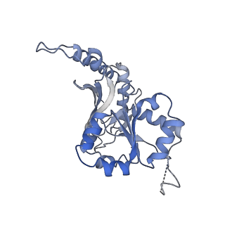 35281_8i9r_CB_v1-1
Cryo-EM structure of a Chaetomium thermophilum pre-60S ribosomal subunit - State 5S RNP