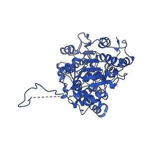 35281_8i9r_CE_v1-1
Cryo-EM structure of a Chaetomium thermophilum pre-60S ribosomal subunit - State 5S RNP