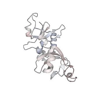 35281_8i9r_CG_v1-1
Cryo-EM structure of a Chaetomium thermophilum pre-60S ribosomal subunit - State 5S RNP