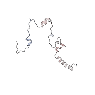 35281_8i9r_CH_v1-1
Cryo-EM structure of a Chaetomium thermophilum pre-60S ribosomal subunit - State 5S RNP
