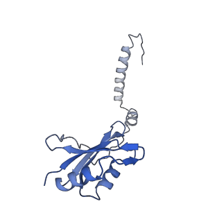 35281_8i9r_CI_v1-1
Cryo-EM structure of a Chaetomium thermophilum pre-60S ribosomal subunit - State 5S RNP