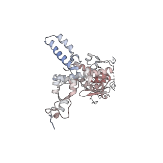 35281_8i9r_CJ_v1-1
Cryo-EM structure of a Chaetomium thermophilum pre-60S ribosomal subunit - State 5S RNP