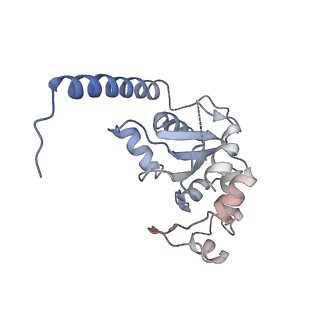 35281_8i9r_CM_v1-1
Cryo-EM structure of a Chaetomium thermophilum pre-60S ribosomal subunit - State 5S RNP