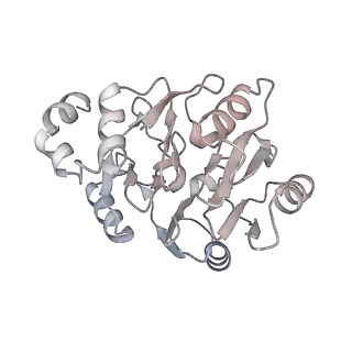 35281_8i9r_CN_v1-1
Cryo-EM structure of a Chaetomium thermophilum pre-60S ribosomal subunit - State 5S RNP