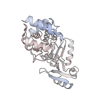 35281_8i9r_CP_v1-1
Cryo-EM structure of a Chaetomium thermophilum pre-60S ribosomal subunit - State 5S RNP
