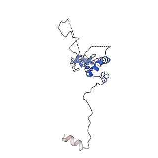 35281_8i9r_CR_v1-1
Cryo-EM structure of a Chaetomium thermophilum pre-60S ribosomal subunit - State 5S RNP