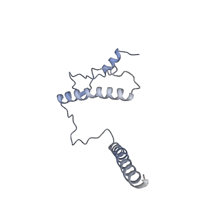 35281_8i9r_CU_v1-1
Cryo-EM structure of a Chaetomium thermophilum pre-60S ribosomal subunit - State 5S RNP