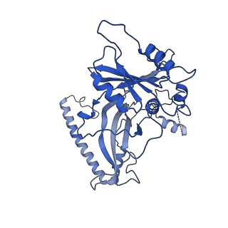 35281_8i9r_Cd_v1-1
Cryo-EM structure of a Chaetomium thermophilum pre-60S ribosomal subunit - State 5S RNP