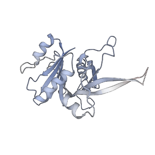 35281_8i9r_Cg_v1-1
Cryo-EM structure of a Chaetomium thermophilum pre-60S ribosomal subunit - State 5S RNP