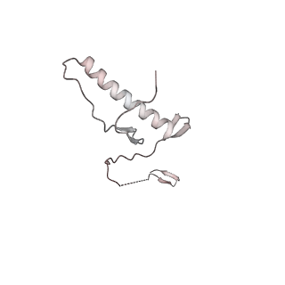 35281_8i9r_Cx_v1-1
Cryo-EM structure of a Chaetomium thermophilum pre-60S ribosomal subunit - State 5S RNP