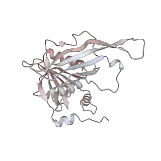 35281_8i9r_Cy_v1-1
Cryo-EM structure of a Chaetomium thermophilum pre-60S ribosomal subunit - State 5S RNP