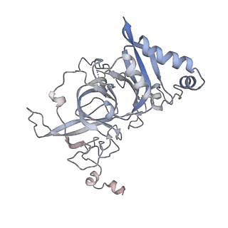 35281_8i9r_LB_v1-1
Cryo-EM structure of a Chaetomium thermophilum pre-60S ribosomal subunit - State 5S RNP
