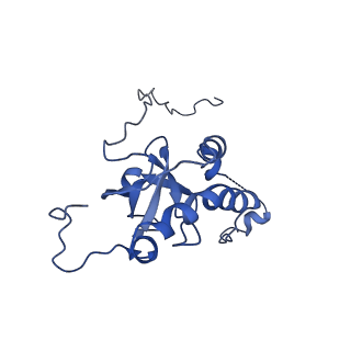 35281_8i9r_LE_v1-1
Cryo-EM structure of a Chaetomium thermophilum pre-60S ribosomal subunit - State 5S RNP