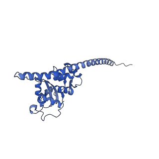 35281_8i9r_LF_v1-1
Cryo-EM structure of a Chaetomium thermophilum pre-60S ribosomal subunit - State 5S RNP