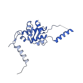 35281_8i9r_LG_v1-1
Cryo-EM structure of a Chaetomium thermophilum pre-60S ribosomal subunit - State 5S RNP