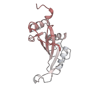 35281_8i9r_LJ_v1-1
Cryo-EM structure of a Chaetomium thermophilum pre-60S ribosomal subunit - State 5S RNP