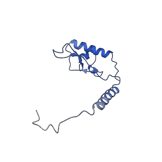 35281_8i9r_LL_v1-1
Cryo-EM structure of a Chaetomium thermophilum pre-60S ribosomal subunit - State 5S RNP