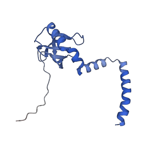 35281_8i9r_LM_v1-1
Cryo-EM structure of a Chaetomium thermophilum pre-60S ribosomal subunit - State 5S RNP