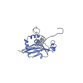 35281_8i9r_LN_v1-1
Cryo-EM structure of a Chaetomium thermophilum pre-60S ribosomal subunit - State 5S RNP