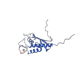 35281_8i9r_LP_v1-1
Cryo-EM structure of a Chaetomium thermophilum pre-60S ribosomal subunit - State 5S RNP