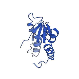 35281_8i9r_LQ_v1-1
Cryo-EM structure of a Chaetomium thermophilum pre-60S ribosomal subunit - State 5S RNP