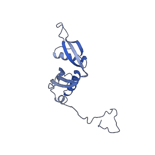 35281_8i9r_LS_v1-1
Cryo-EM structure of a Chaetomium thermophilum pre-60S ribosomal subunit - State 5S RNP