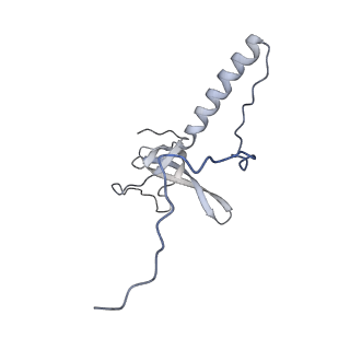 35281_8i9r_LT_v1-1
Cryo-EM structure of a Chaetomium thermophilum pre-60S ribosomal subunit - State 5S RNP