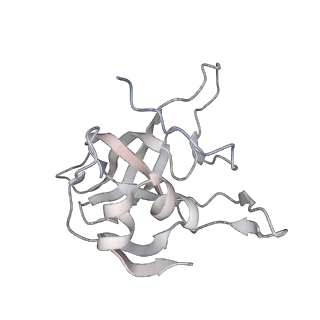 35281_8i9r_LV_v1-1
Cryo-EM structure of a Chaetomium thermophilum pre-60S ribosomal subunit - State 5S RNP