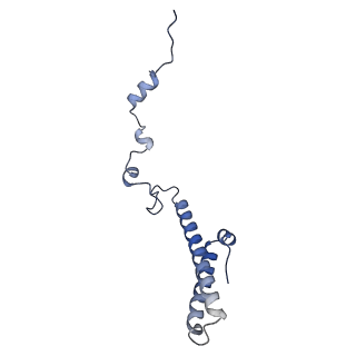 35281_8i9r_Lh_v1-1
Cryo-EM structure of a Chaetomium thermophilum pre-60S ribosomal subunit - State 5S RNP
