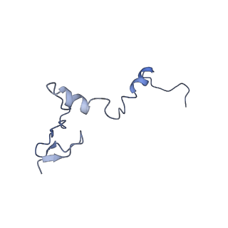 35281_8i9r_Lj_v1-1
Cryo-EM structure of a Chaetomium thermophilum pre-60S ribosomal subunit - State 5S RNP