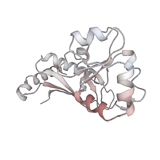 35281_8i9r_Lq_v1-1
Cryo-EM structure of a Chaetomium thermophilum pre-60S ribosomal subunit - State 5S RNP