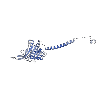35283_8i9t_CA_v1-1
Cryo-EM structure of a Chaetomium thermophilum pre-60S ribosomal subunit - State Dbp10-1